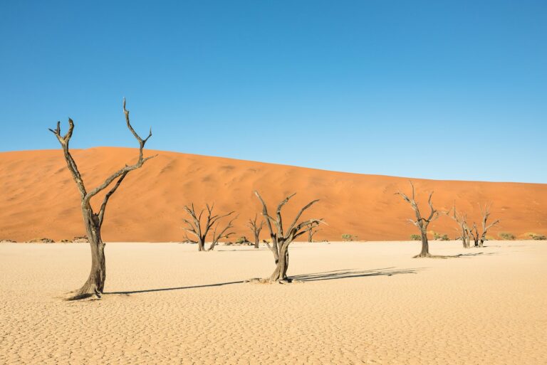 Namibia