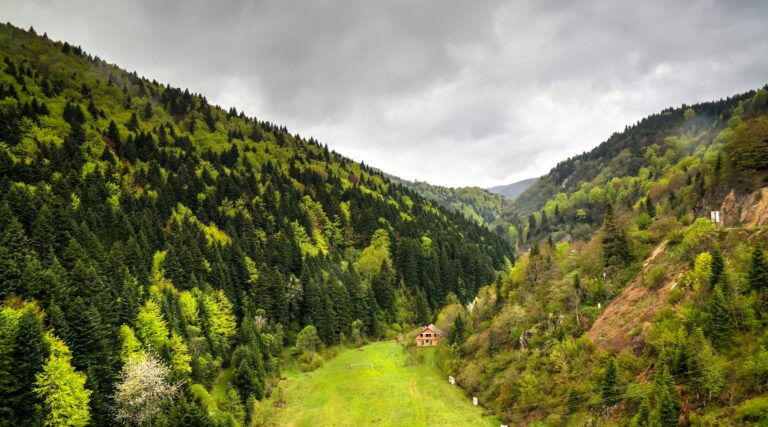 North Macedonia