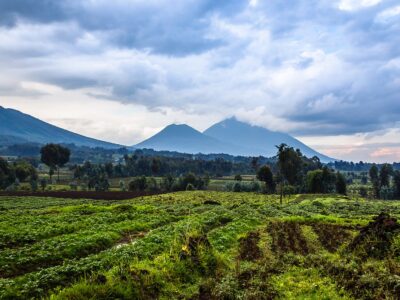 Virunga Volcano National Park Landscape With Green Farmland Fiel