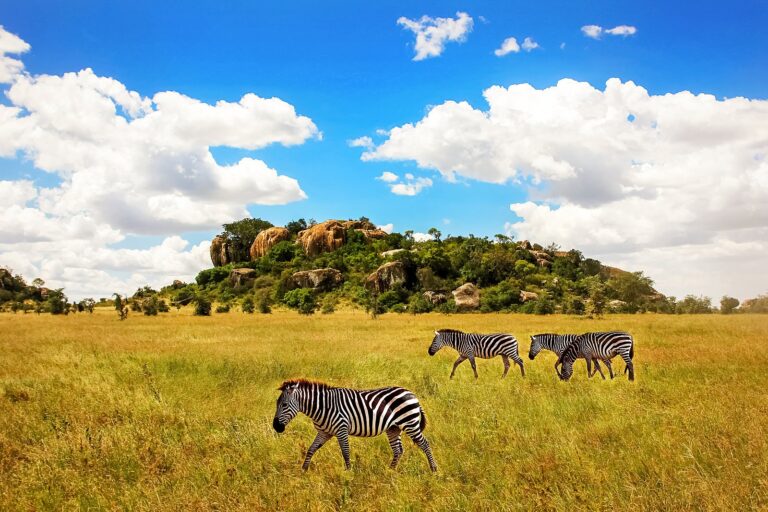 Tanzania