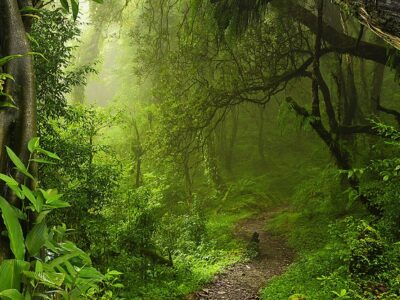 deep jungles of northern Thailand with rivers, waterfalls and mysterious trails