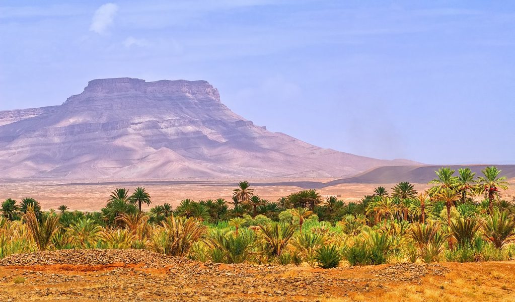 Table mountain and date palms landscape in oasis in Draa Valley Morocco